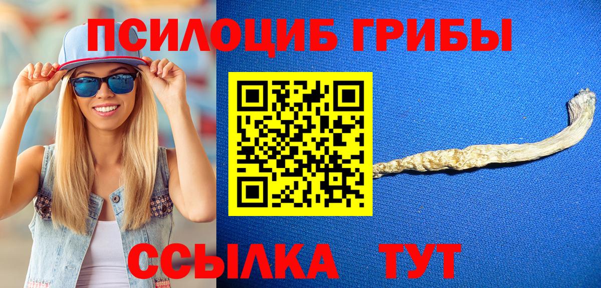 Лысьва  Псилоцибиновые грибы Psilocybine cubensis  Вход с VPN 